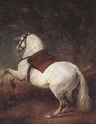 Diego Velazquez A White Horse (df01) oil painting